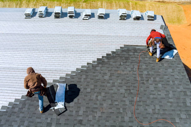 Best Metal Roofing Contractor  in Dike, IA