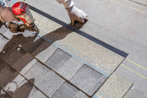 Best Roof Leak Repair  in Dike, IA